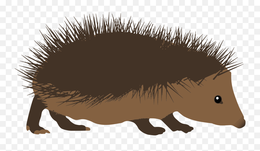 Hedgehog Clipart U0026 Hedgehog Clip Art Images - Hdclipartall Spiky Animal Clipart Emoji,Hedgehog Emoji Apple