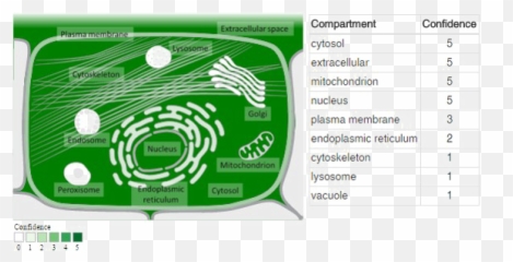 Park7 Parkinsonism Associated Deglycase - Language Emoji,Identifying Emotions Activity Adullt
