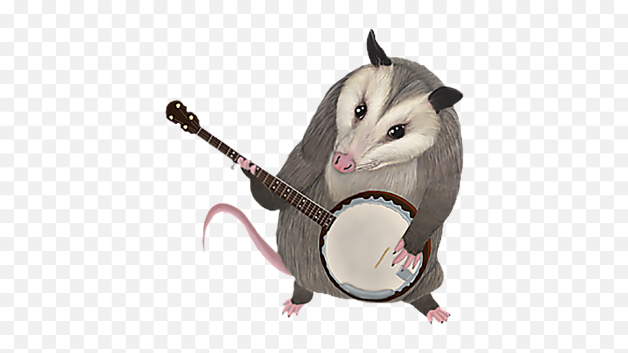 Opossum Playing The Banjo Possum Tank - Virginia Opossum Emoji,Pawsom Tv Emoji Pillows