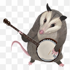 Opossum Playing The Banjo Possum Tank - Virginia Opossum Emoji,Pawsom Tv Emoji Pillows