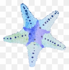 Starfishpng Transparent Png - Free Download On Tpngnet Starfish Png Emoji,Starfish Emoticon For Facebook