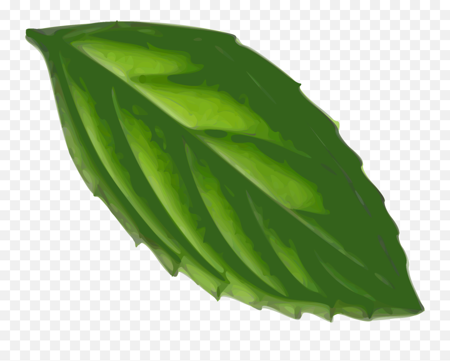 Plant Clipart Herb Plant Herb Transparent Free For Download - Mint Leaf Clip Art Emoji,Herb Emoji
