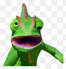 Releases Ocaml - Ppxocamlformat Github Emoji,Chamelon Emoji