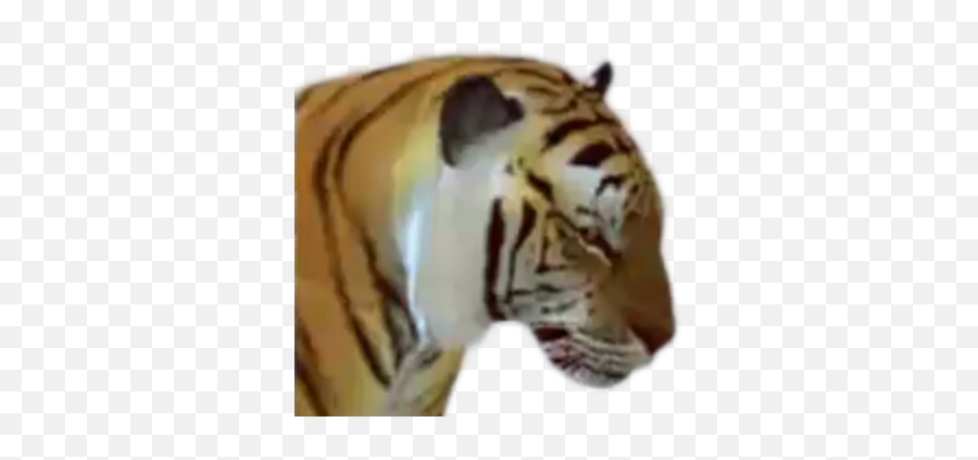 Snowflake Dead Rising Wiki Fandom - Bengal Tiger Emoji,Lion Showing Emotion