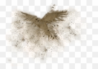 Assassinu0027s Realm - The Lost King Completed Chapter 1 Bird Emoji,Quarry With Emotion