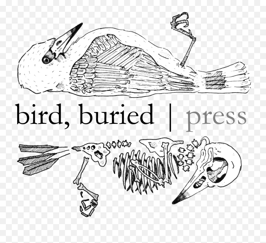 Bird Buried Press - Sketch Emoji,Bird Emotions