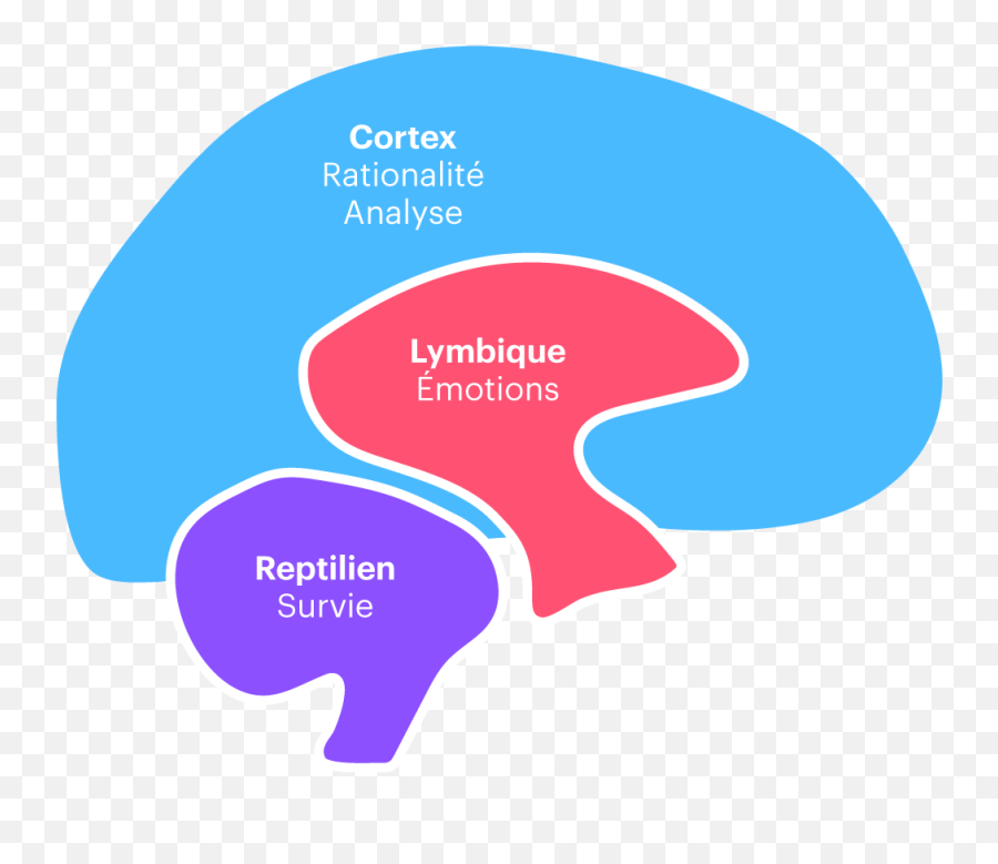 Le Design Émotionnel - Language Emoji,Sommet D'une Emotion