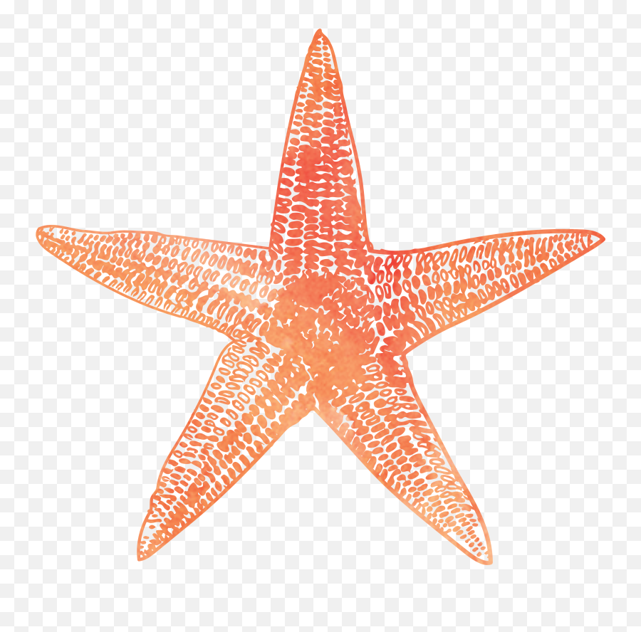 Resources U2013 Mm Wellness Center Inc - Vector Starfish Illustration Emoji,Starfish Emoticon For Facebook