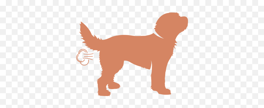 Farting Dog Toymeckraicom Emoji,Walmart Emoji Dog Toy
