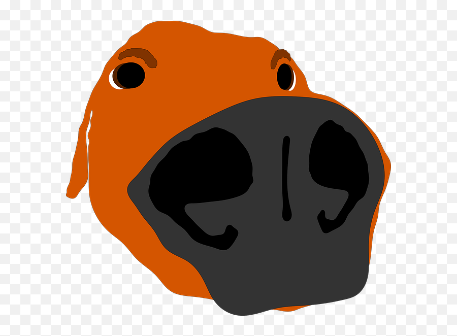 Free Photo Cartoon Dog Silly Funny Dog Hound Cutout Canine Emoji,Discord Fish Emoji