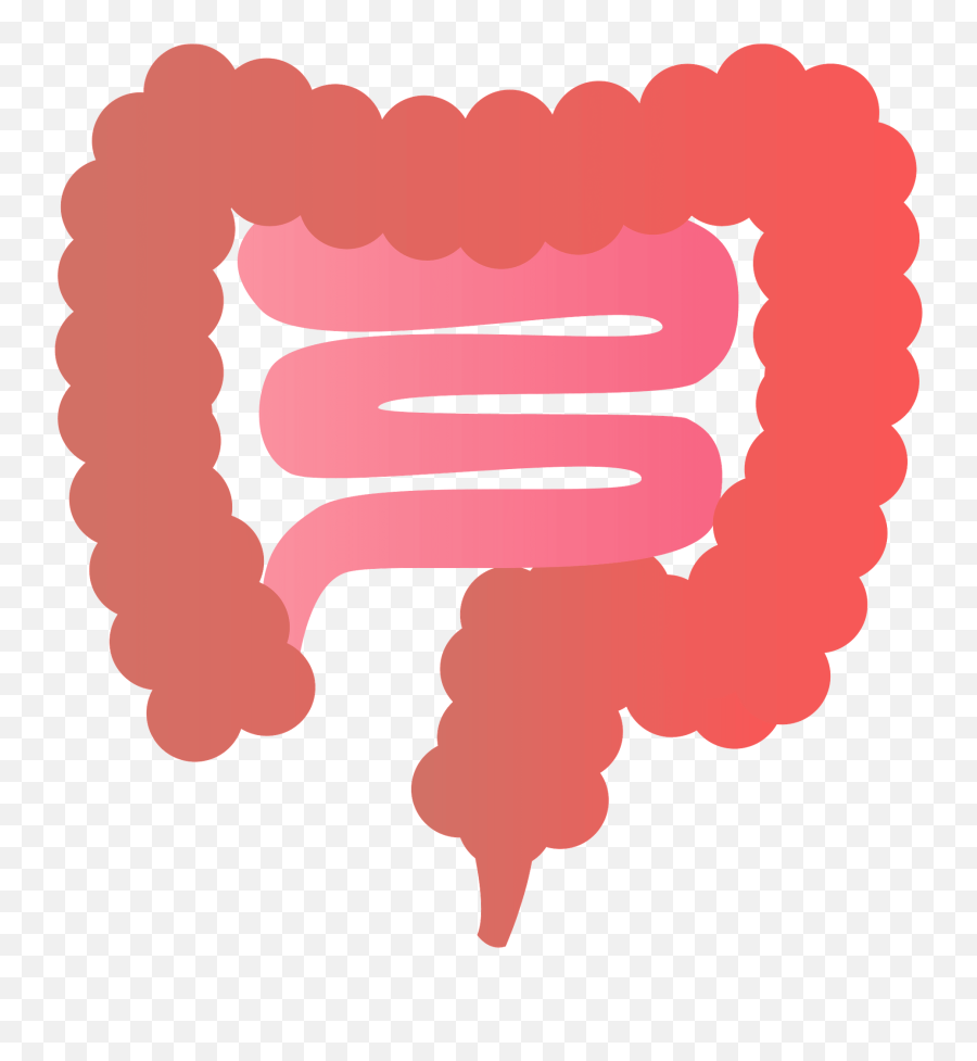 Gastrointestinal Tract Clipart - Intestine Clipart Transparent Background Emoji,Constipation Emoji
