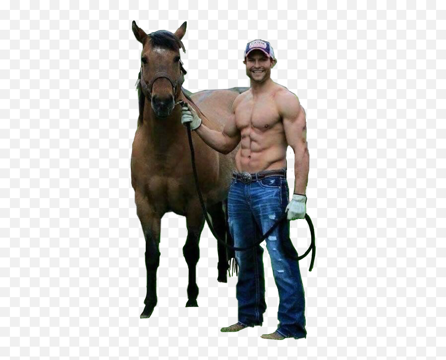 Cowboy Horse Countryboy Man Sticker By Meganut - Halter Emoji,Man And Horse Emoji