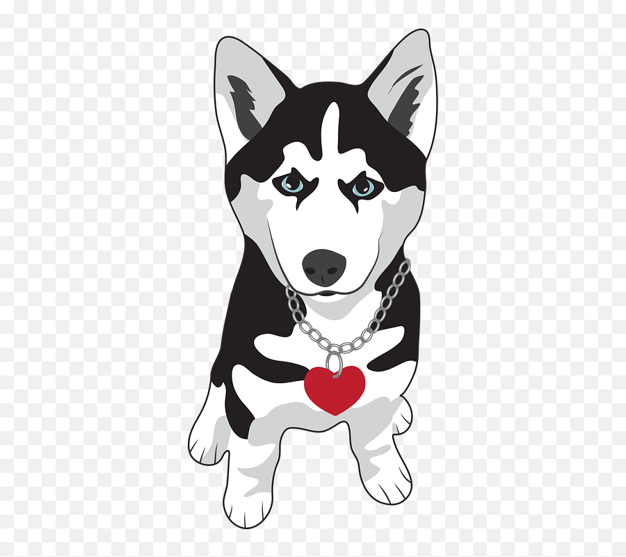 Free Photo Puppy Siberian Husky Dog Snow Dog - Max Pixel Desenho De Cachorro Husky Siberiano Emoji,Canine Emotions