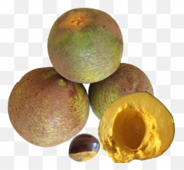 Spanish Spanish Linguist - Fruta Lucuma Png Emoji,Suya Suya Emoticon