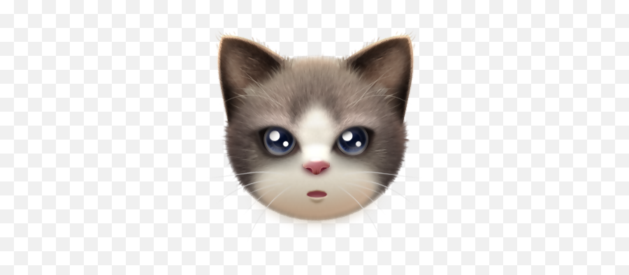 Kitten Whiskers Cat Portable Network Graphics Adobe - Transparent Kitten Face Png Emoji,Kitten Emoticon 28x28