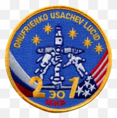 Historical Memorabilia Nasa Twenty - Fifth Columbia Shuttle Crew Patch Emoji,Disney Emoji Patch