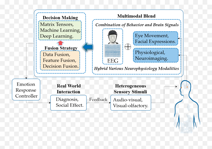 Multimodal Affective Brainu2013computer Interfaces Encyclopedia - Language Emoji,Definition Of Emotion
