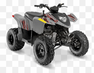 Reseñas Precios Y Especificaciones De Atv Polaris - Polaris Phoenix 200 Emoji,Emotion Mas Que Rines Y Llantas