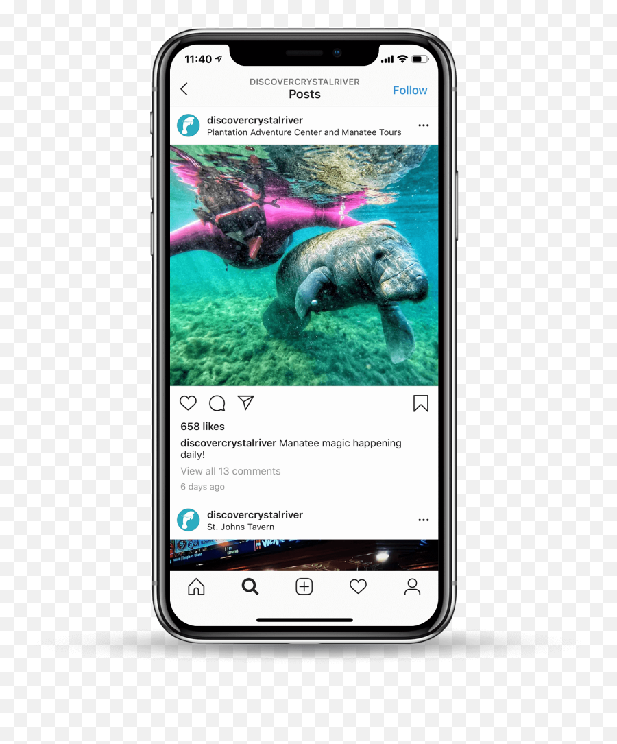 Discover Crystal River - Smartphone Emoji,Do Manatees Have Emotions