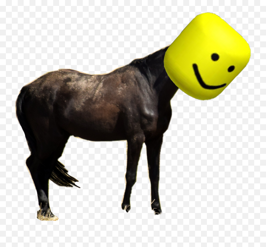 Oof What Is My Life Sticker By Yeegis - Animal Figure Emoji,Horse Emoticon