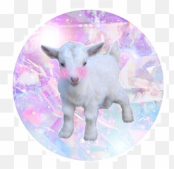 Goats Sticker Challenge - Tapered Waveguide Slot Array Antenna Emoji,Snapchat Sheep Animal Emojis