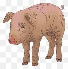 Pig Clipart - Animal Figure Emoji,Flying Pig Emoji