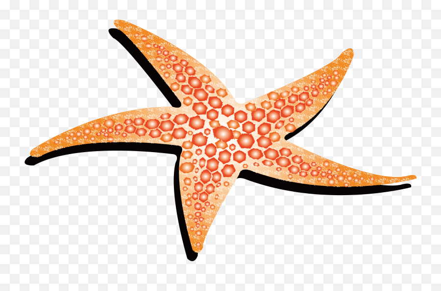 Starfish Animation - Yellow Starfish Png Download 4214 Starfish Drawing Png Emoji,Starfish Emoticon For Facebook