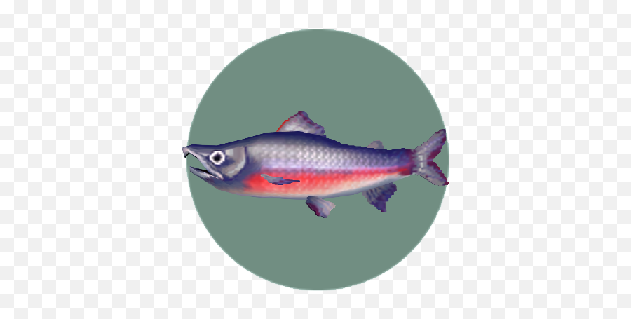 Animal Crossing Wikiprojects Archiveproject Fish And Bug Emoji,Trout Fish Emoticon Copy And Paste