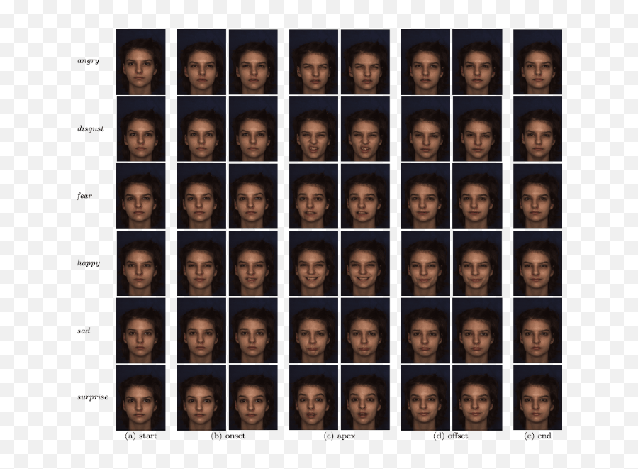 Automatic Facial Expression Recognition In Real - Time From Emoji,1/6 Scale Emotion Face Sculpt