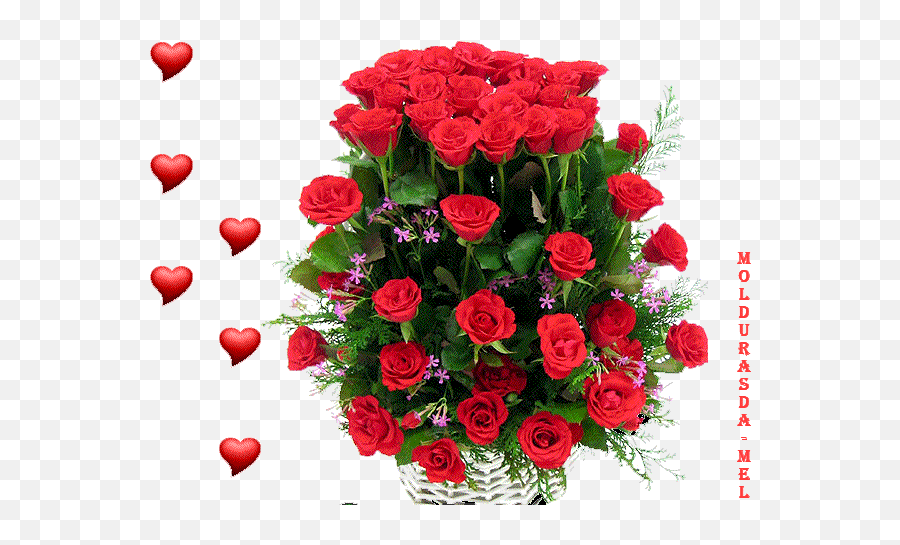 Top Red Flowers Stickers For Android U0026 Ios Gfycat - Beautiful Rose Wishes Happy Birthday Emoji,Single Red Rose Emoticon