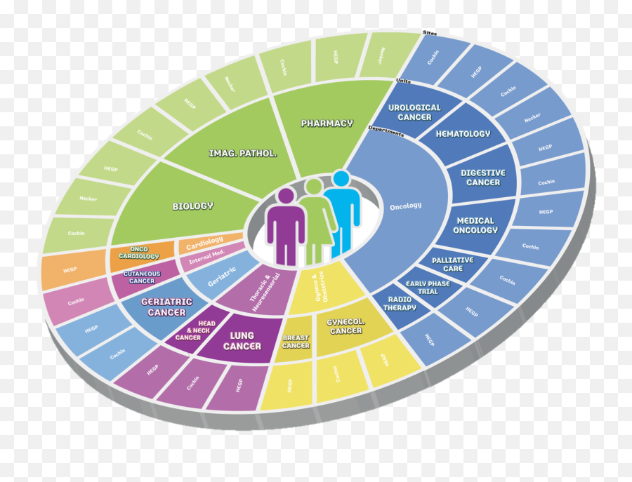 Paris Cancer Institute Carpem - Carpemfr Emoji,Wheel Of Emotions When High Paris Cancer Institute Carpem - Carpemfr Emoji,Wheel Of Emotions When High