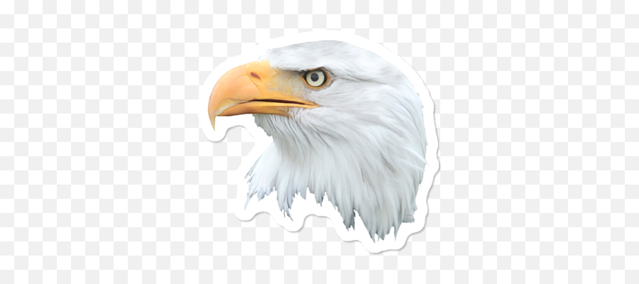 Best Eagle Stickers Design By Humans Emoji,Illinois Flag Emoji