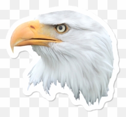 Best Eagle Stickers Design By Humans Emoji,Illinois Flag Emoji