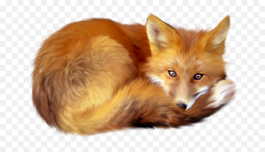 Realistic Fox Clip Art - Realistic Fox Clipart Emoji,Red Fox Emoticon