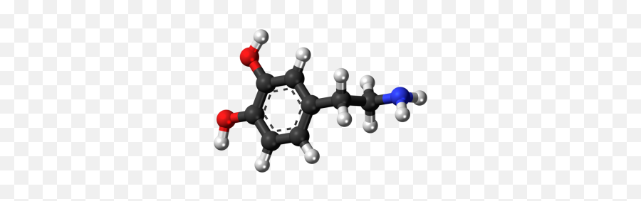 Mark Walton Awarded Wellcome Trust Senior Research - Tyramine 3d Emoji,Is Prisoner To My Emotions From Tracy Jenkins Real?