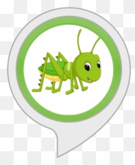 Amazon - Cricket Insect Types Cartoon Emoji,Cricket Sound Emoji