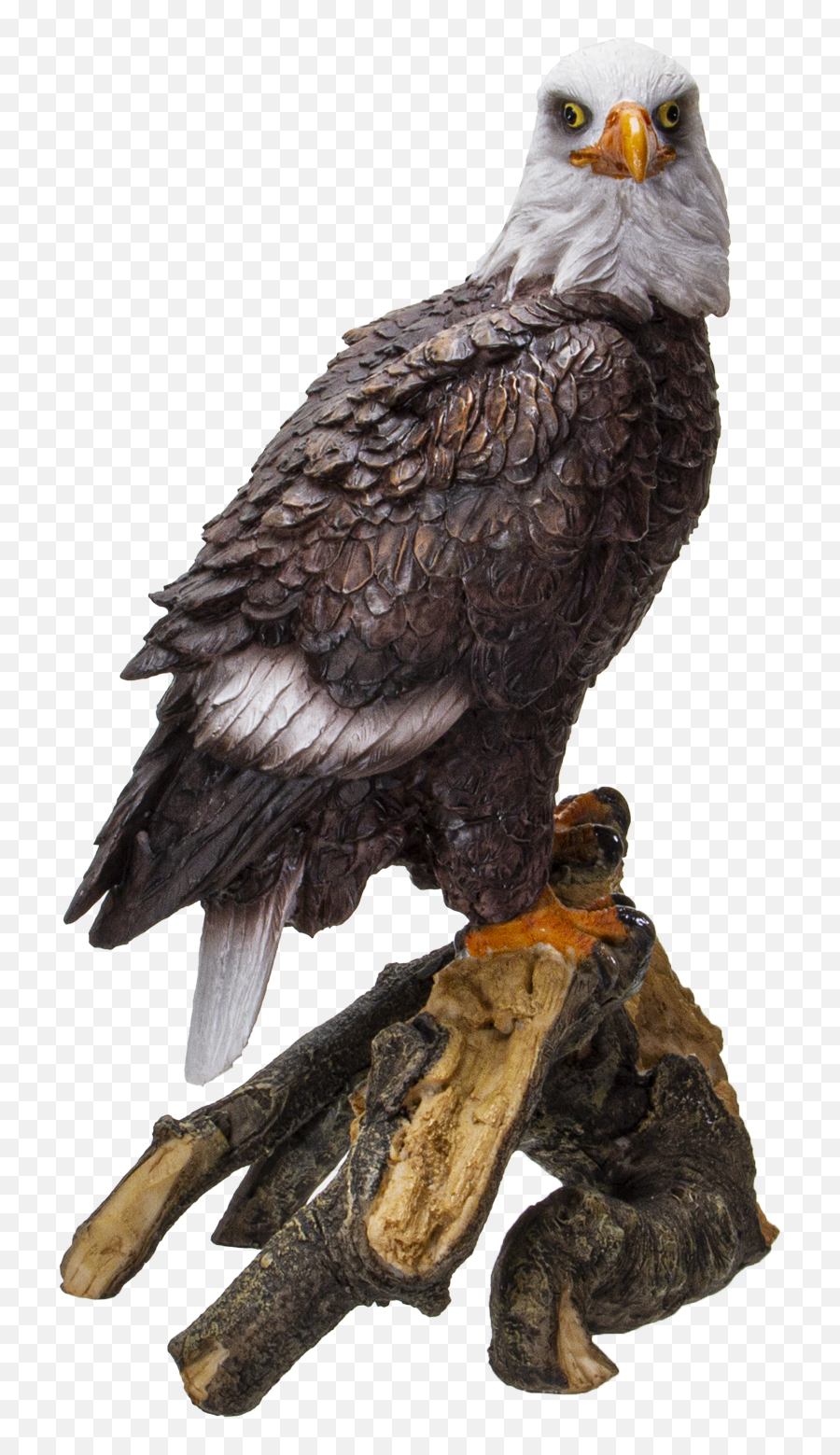 American Eald Eagle Perching - Sea Eagle Emoji,Eagle Emoticon Ipad