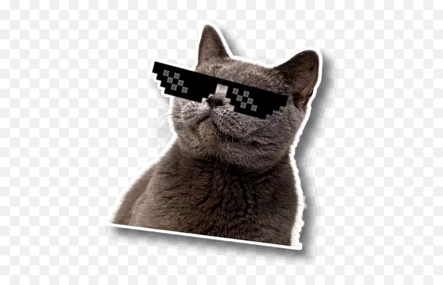 Wastickerapps Cat Memes U2013 Apps On Google Play - Cat Collar Emoji,Cats Emotions