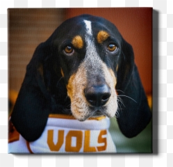 Tennessee Vols - Mascot College Wall Art Emoji,Bucs Flag Emoji
