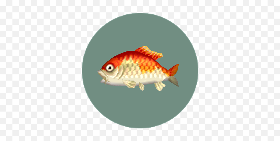 Download Rare Fish - Animal Crossing Pocket Camp Rare Fish Animal Crossing Koi Fish Emoji,Animal Crossing Emoji