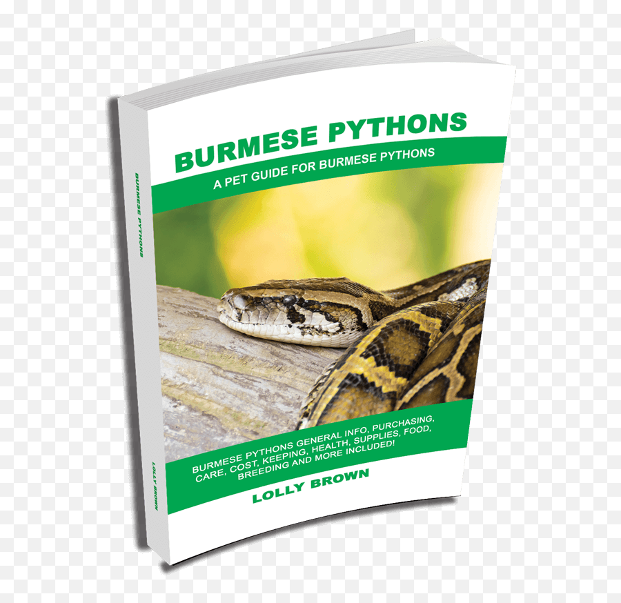 Burmese Python Landing - Serpent Emoji,Ball Lythons Emotions