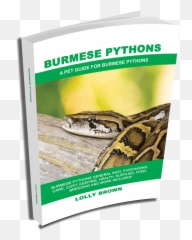 Burmese Python Landing - Serpent Emoji,Ball Lythons Emotions