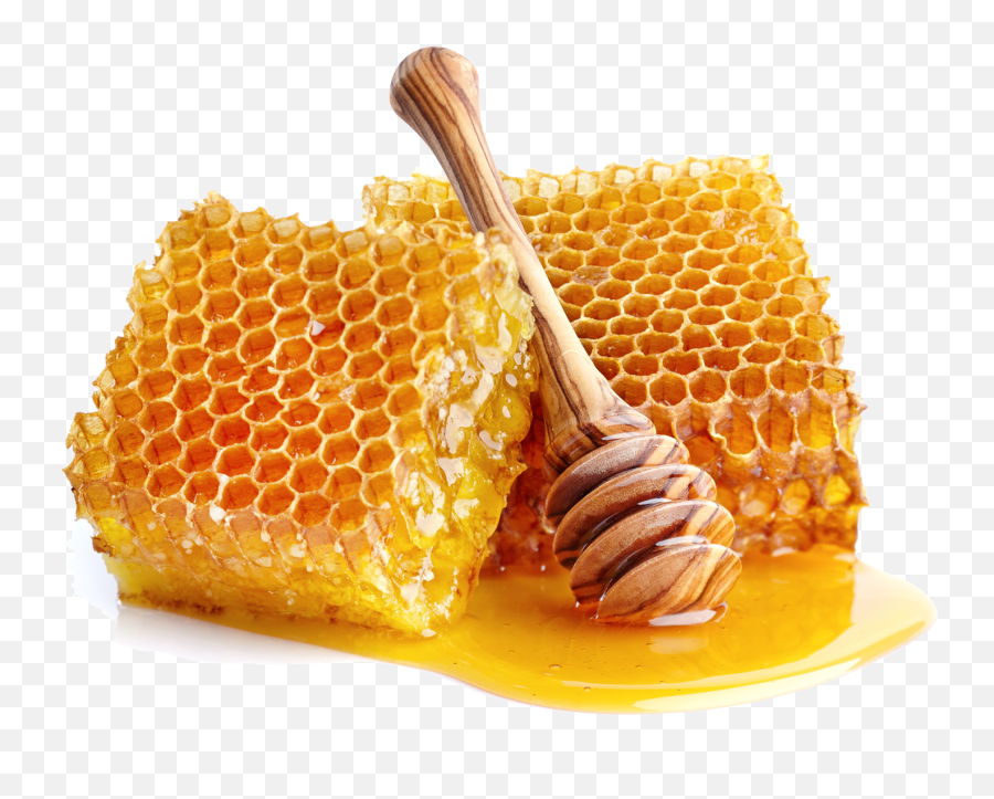 The Word Of - Natural Honey Emoji,Psalms For Different Emotions