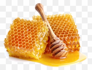 The Word Of - Natural Honey Emoji,Psalms For Different Emotions
