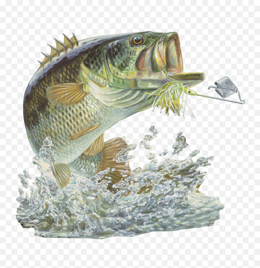 Bass Fish Png - Bass Fishing Stickers Emoji,Https://news.google.comlaugh Emoticon