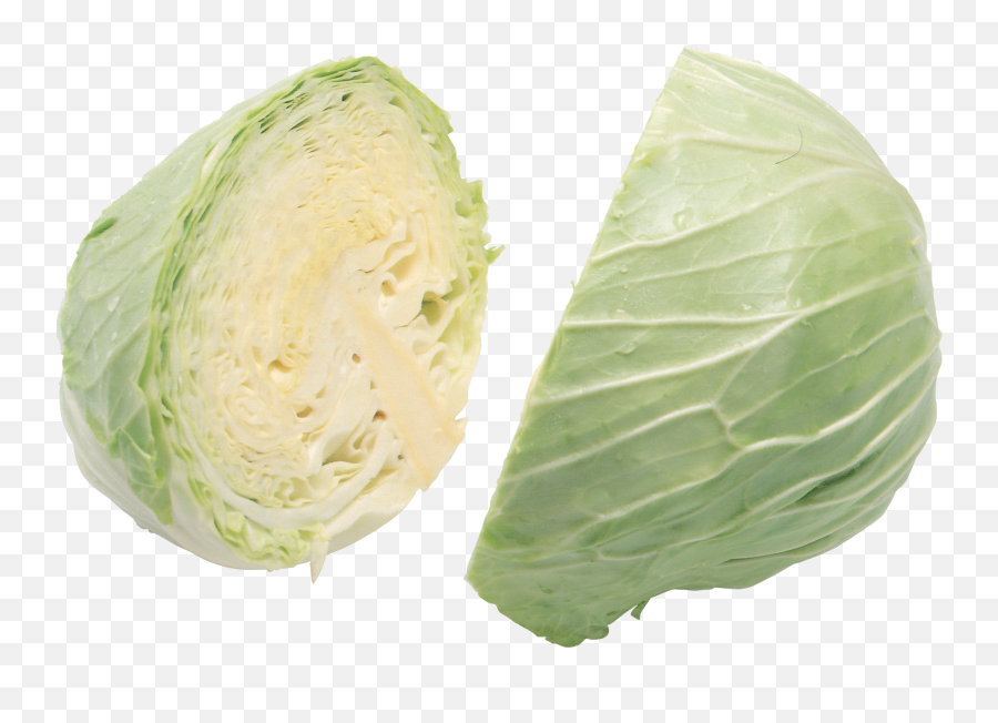 Free Cabbage Transparent Download Free Clip Art Free Clip - Cabbage Emoji,Lettuce Emoji