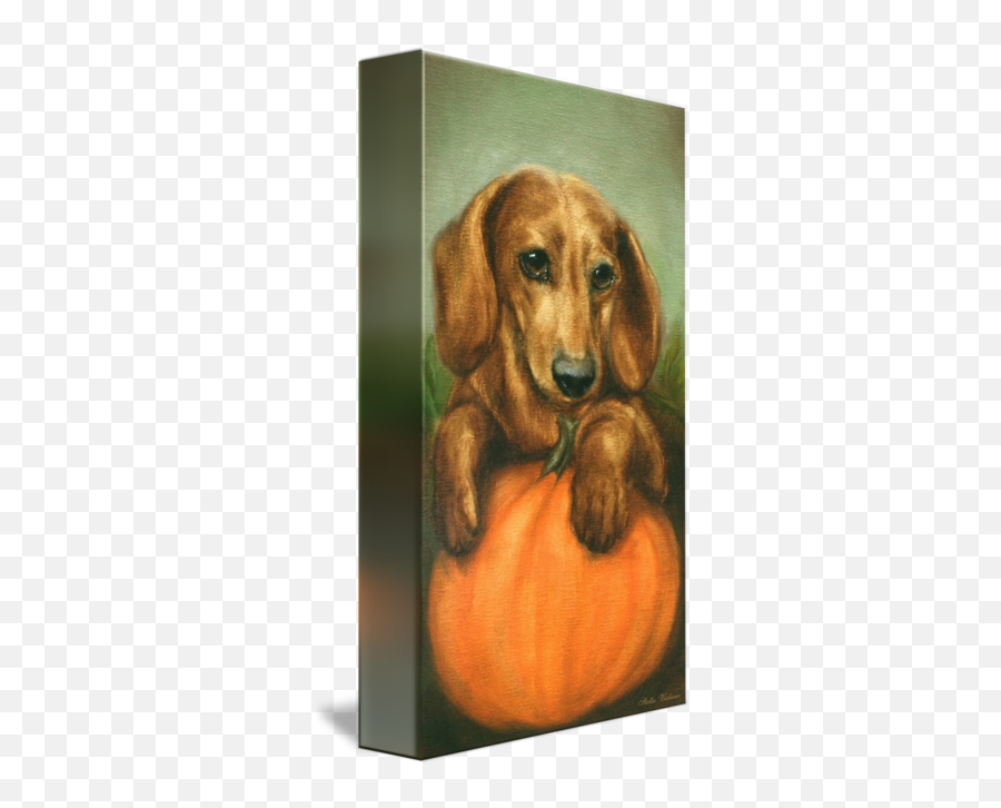 Pick Me Dachshund Puppy And A Pumpkin By Violano By Stella Emoji,Dachshund Emoticon Facebook