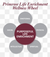 Primrose Life Enrichment - Midland Emoji,Personal Narrative Mentor Text For Emotion