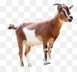 Goat Png Image Transparent Background Png Arts Emoji,Goat Emojis