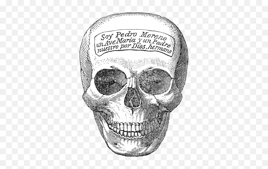 Critical Thought Png Images Download Critical Thought Png Emoji,Skull Crossbones Png Emoji